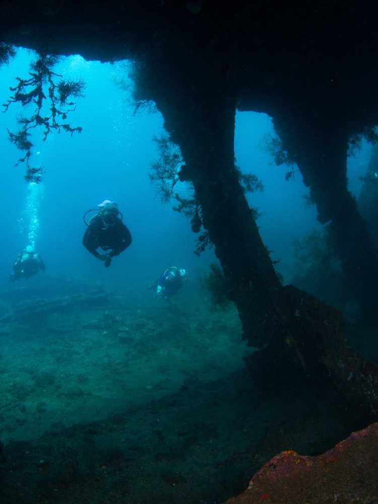 The Best Time to Dive in Bali